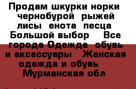 Продам шкурки норки, чернобурой, рыжей лисы, енота, песца. Большой выбор. - Все города Одежда, обувь и аксессуары » Женская одежда и обувь   . Мурманская обл.